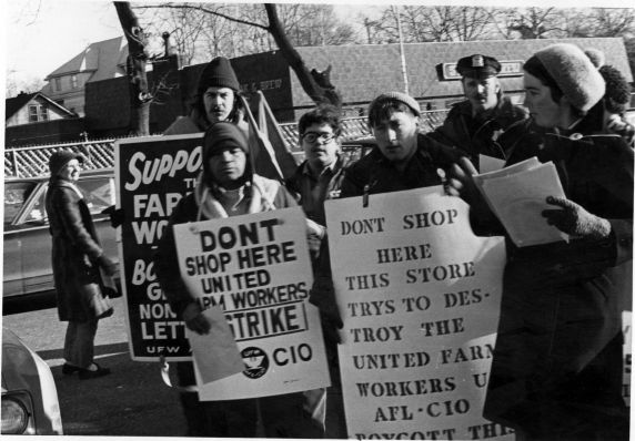 (3176) A group of UFW demonstrators (3176) A group of UFW demonstrators